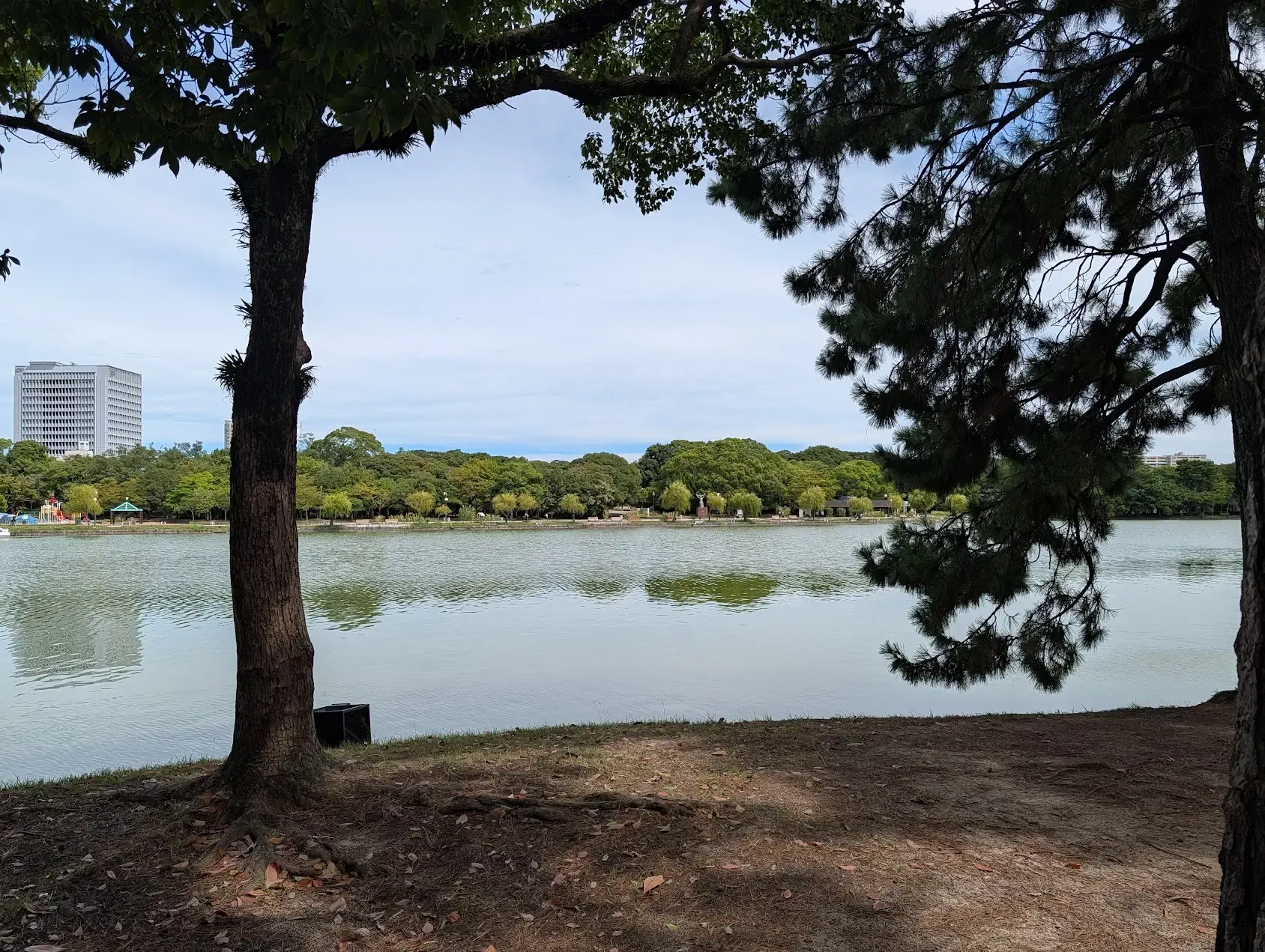 湖中島上景色